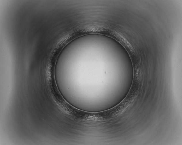 X0000116890635200912221454