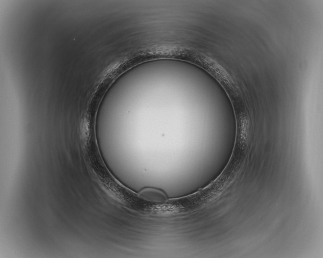 X0000116890636200912221454