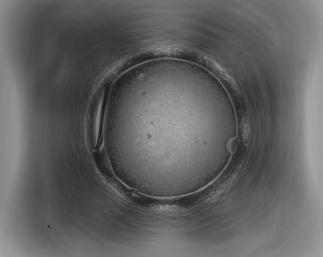 X0000116890637200912221454