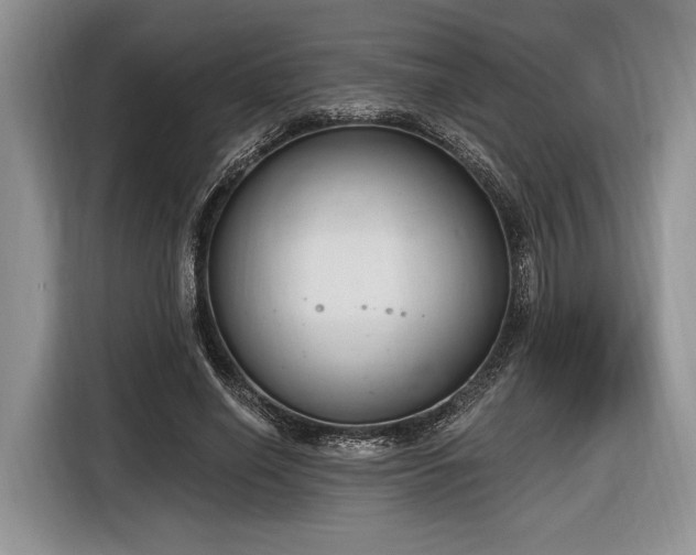 X0000116890638200912221454