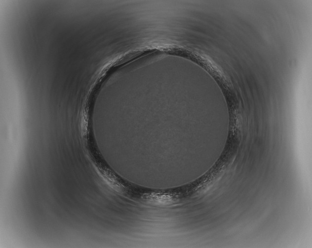 X0000116890640200912221454