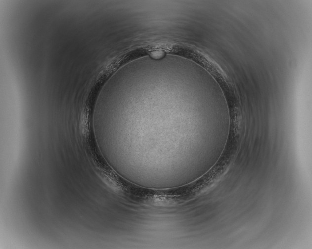 X0000116890641200912221454