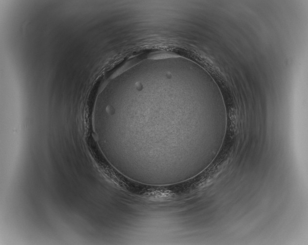 X0000116890642200912221454
