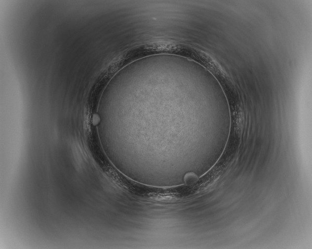 X0000116890643200912221454