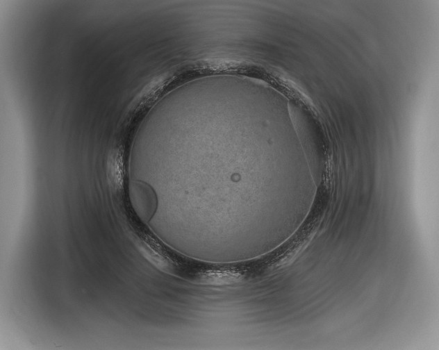 X0000116890644200912221454