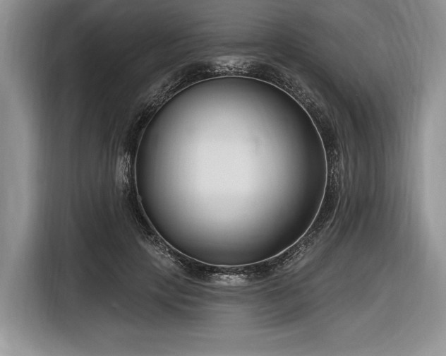 X0000116890649200912221454