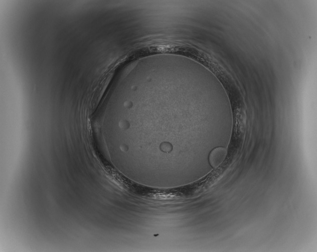 X0000116890650200912221454