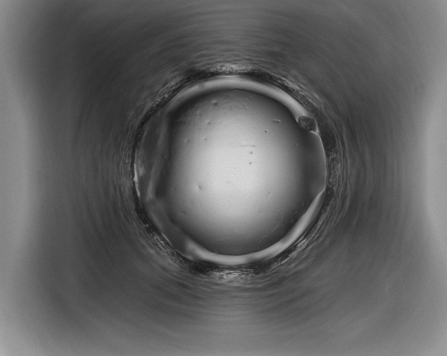 X0000116890655200912221454