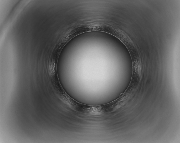 X0000116890660200912221454