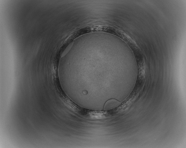 X0000116890661200912221454