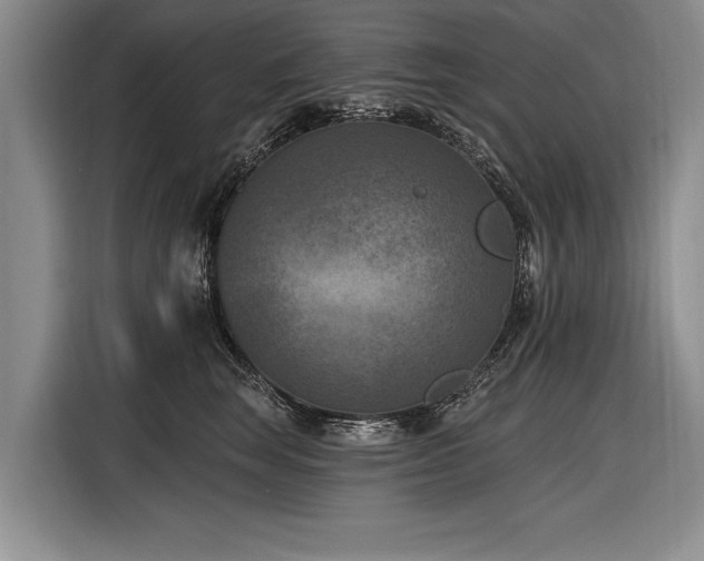 X0000116890663200912221454