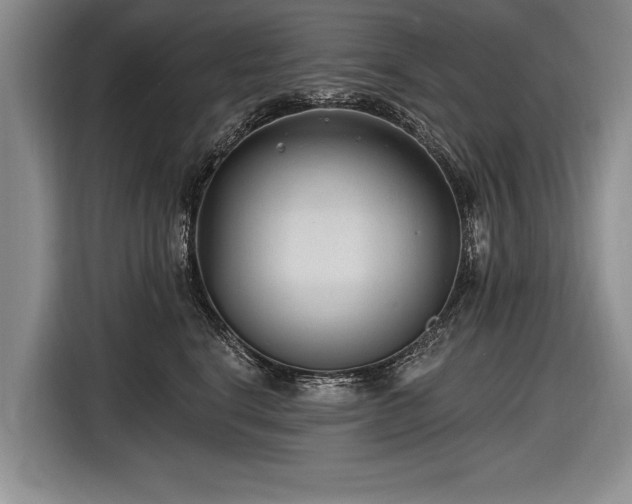 X0000116890664200912221454