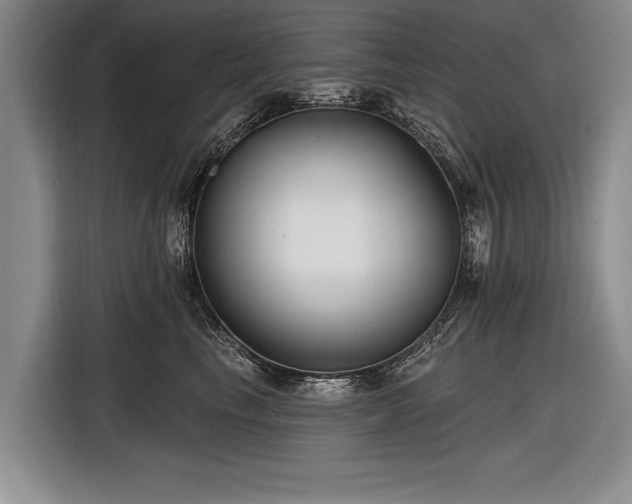 X0000116890665200912221454