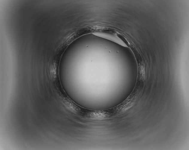 X0000116890668200912221454