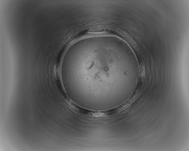 X0000116890669200912221454