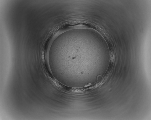 X0000116890670200912221454