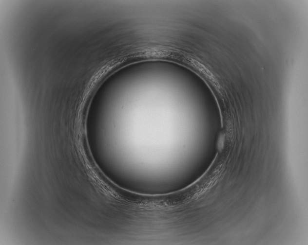 X0000116890673200912221454