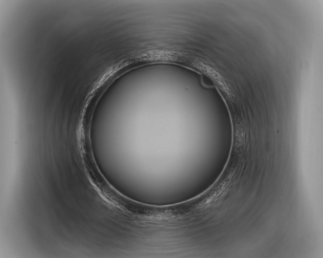 X0000116890674200912221454