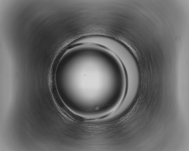 X0000116890677200912221454