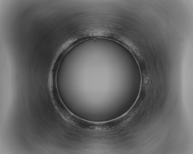 X0000116890678200912221454