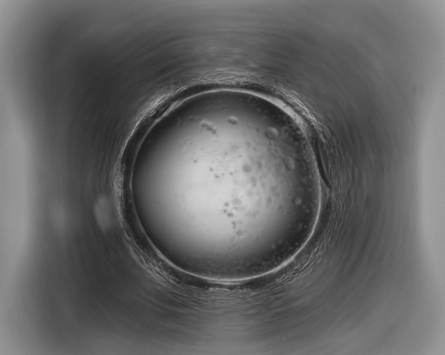 X0000116890679200912221454
