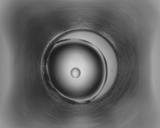 X0000116890680200912221454