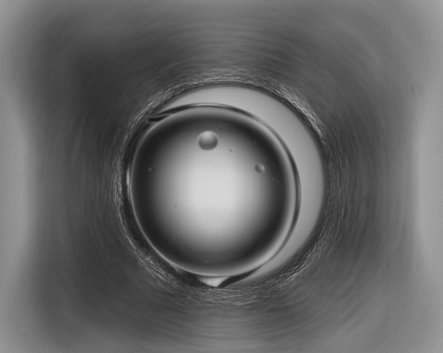 X0000116890681200912221454