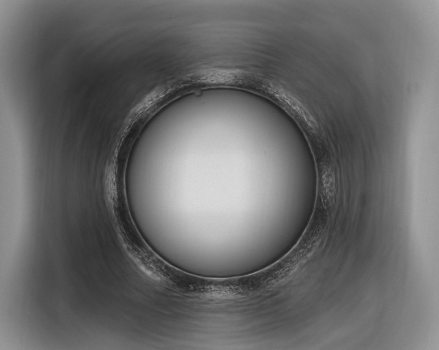 X0000116890682200912221454