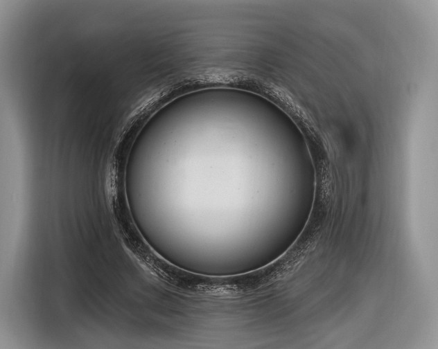 X0000116890683200912221454