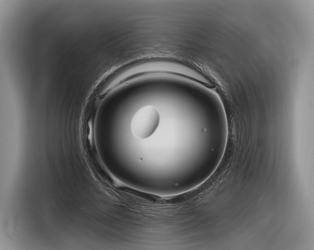 X0000116890684200912221454