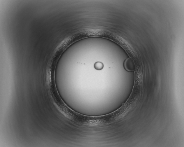 X0000116890686200912221454