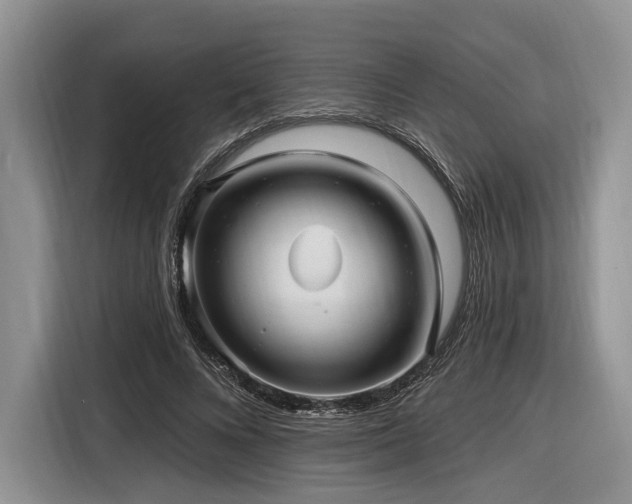 X0000116890688200912221454