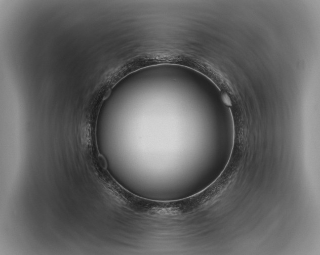 X0000116890689200912221454