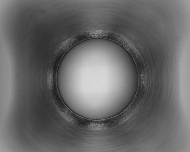 X0000116890690200912221454