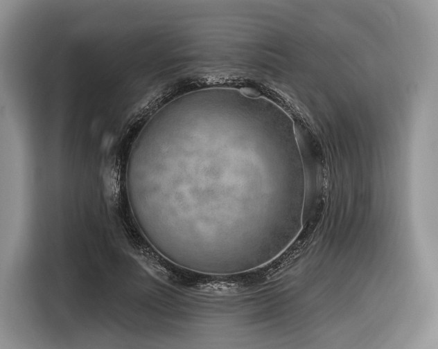 X0000116890691200912221454