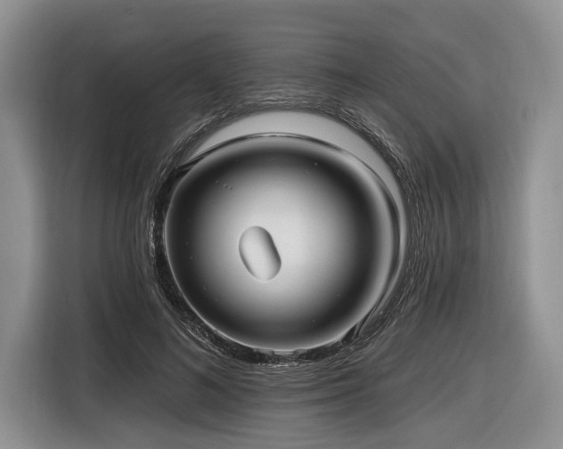 X0000116890692200912221454