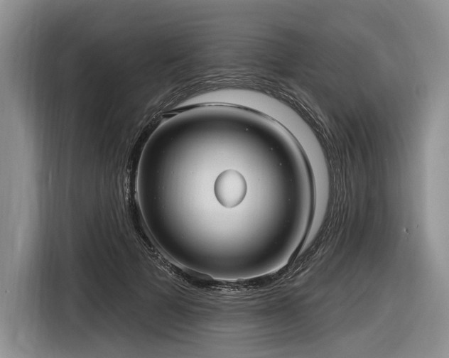 X0000116890697200912221453