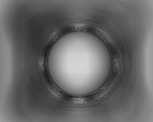 X0000116890698200912221453