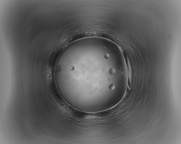 X0000116890699200912221453