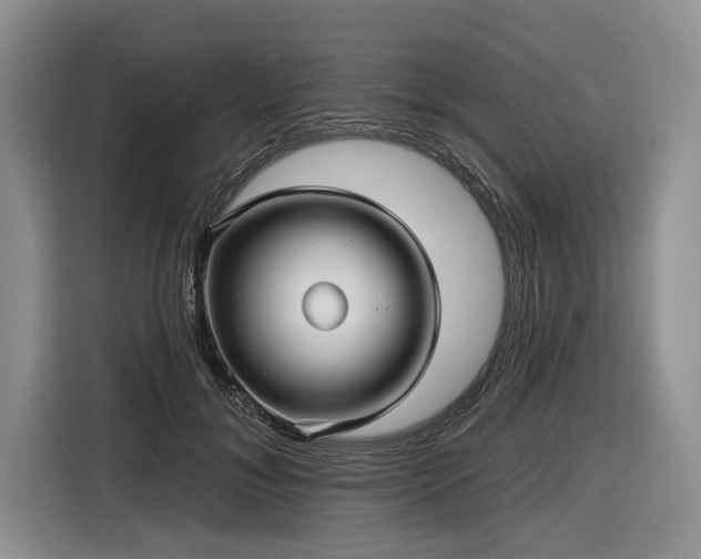 X0000116890700200912221453