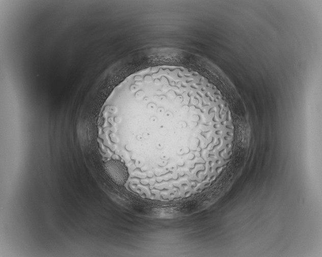 X0000116890701200912221453