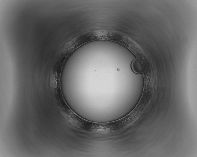X0000116890702200912221453