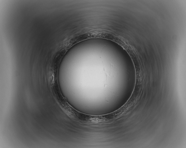 X0000116890703200912221453