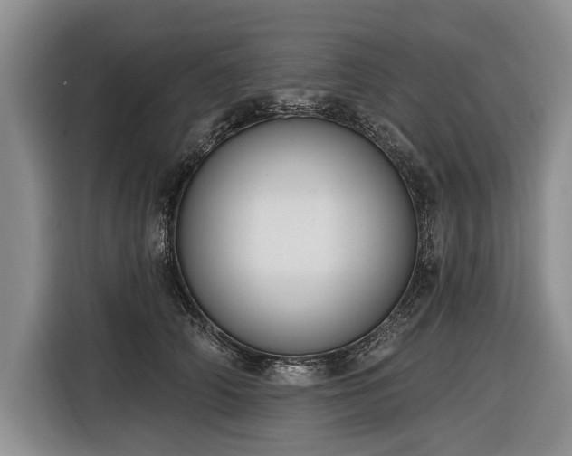 X0000116890706200912221453