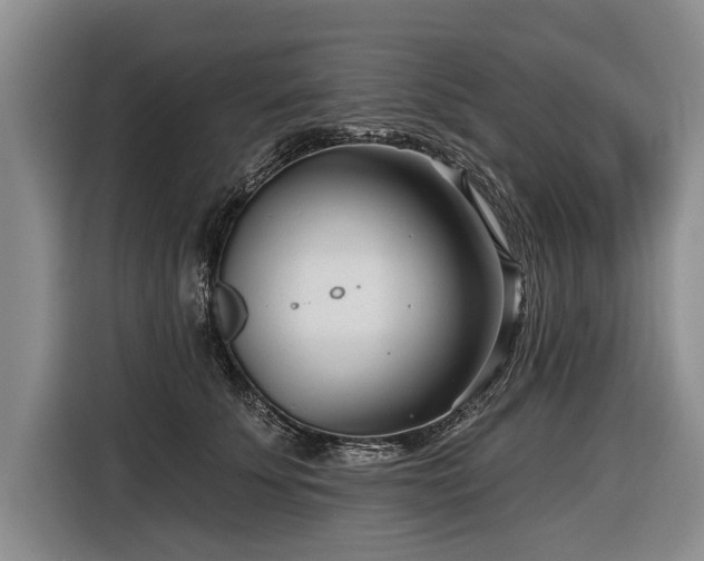 X0000116890707200912221453