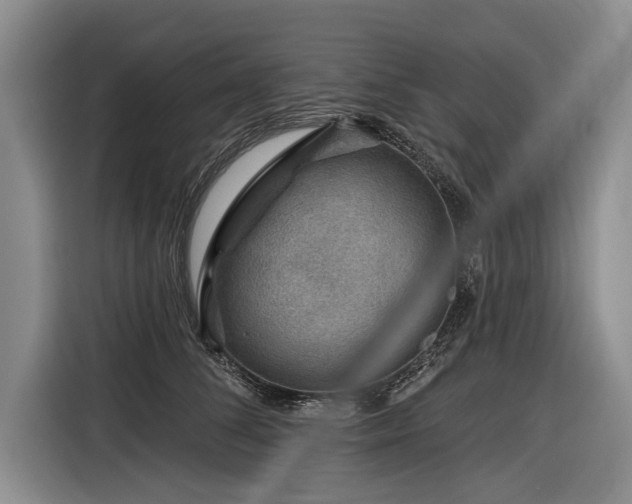 X0000116890708200912221453