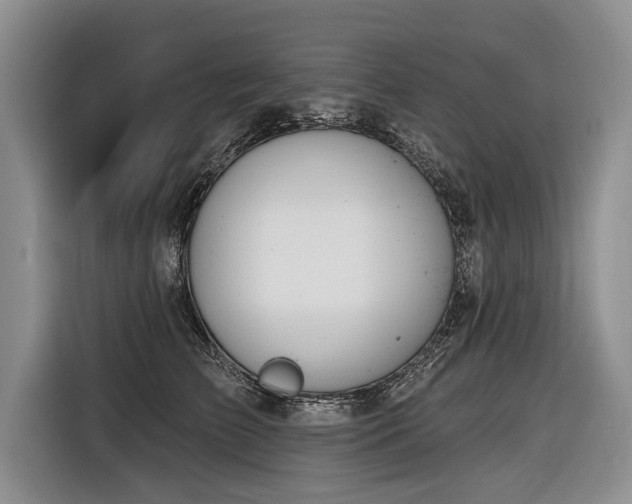 X0000116890709200912221453