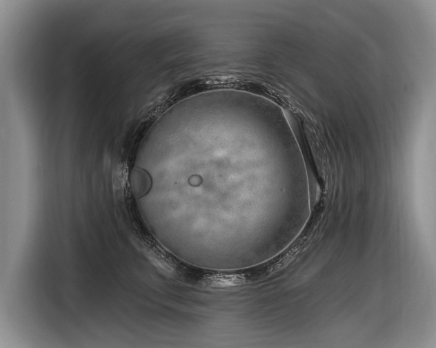 X0000116890711200912221453
