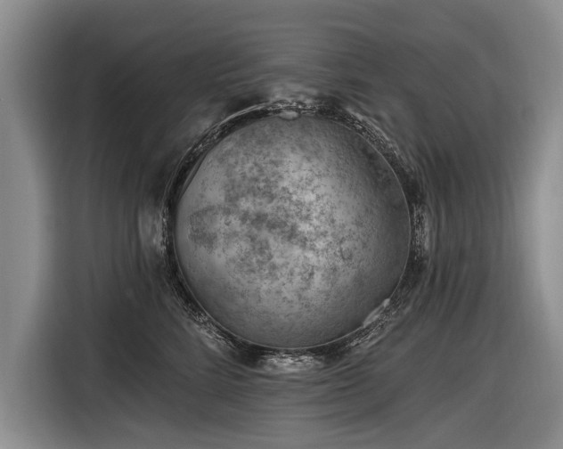 X0000116890712200912221453
