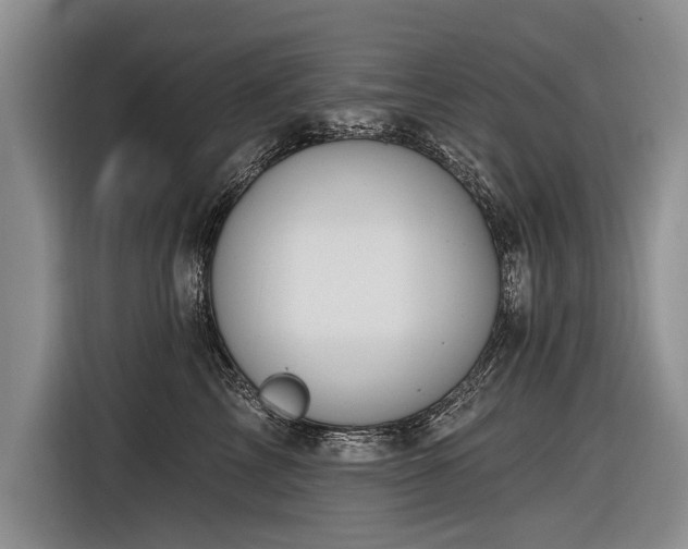 X0000116890713200912221453